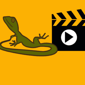 Read more about the article Lizard Movies and Media