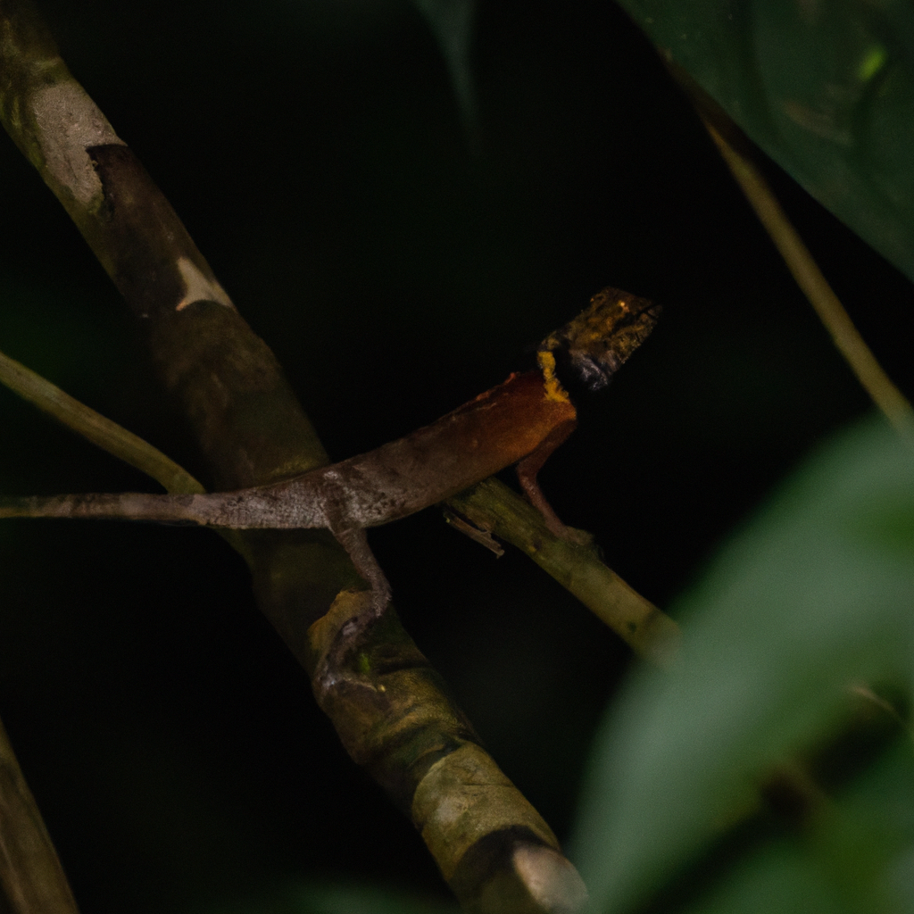 You are currently viewing Jungle Canopy Lizard Tours