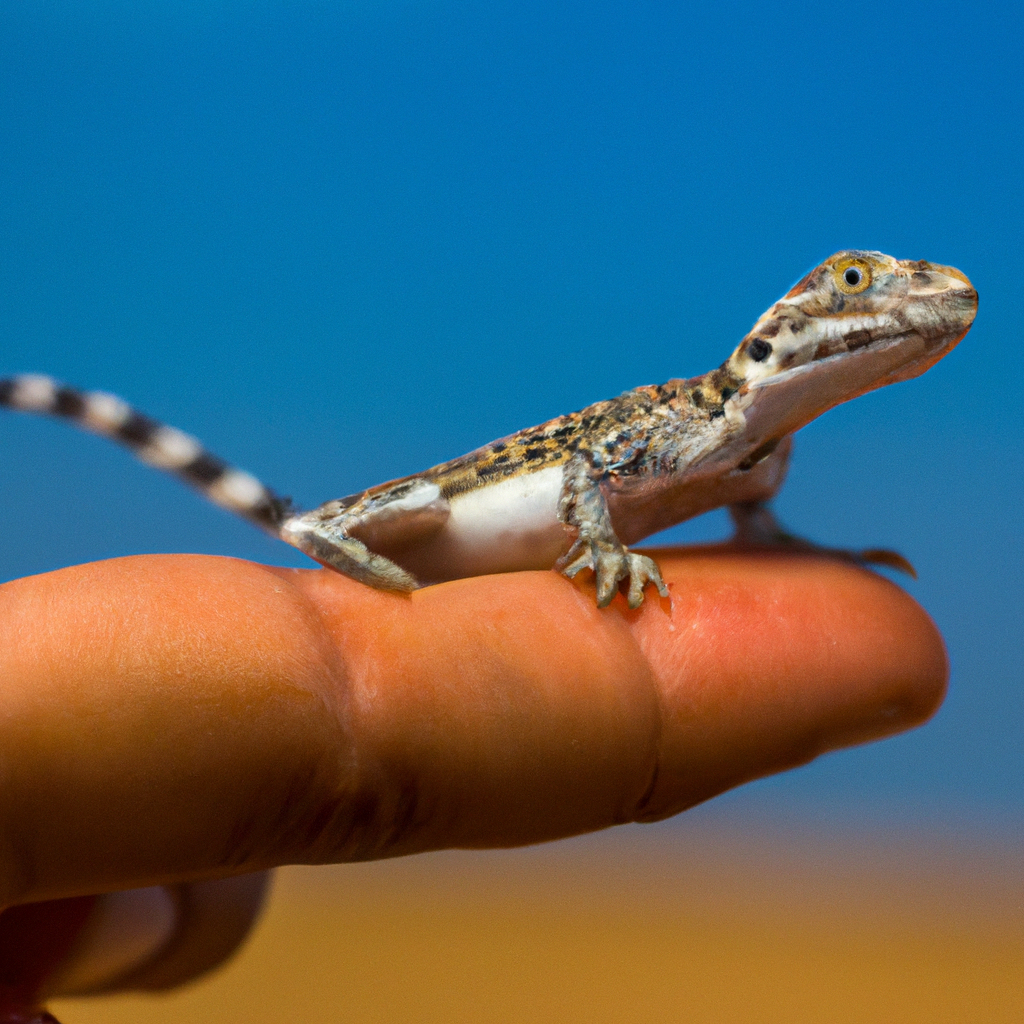 You are currently viewing Lizard biodiversity Sahara survey