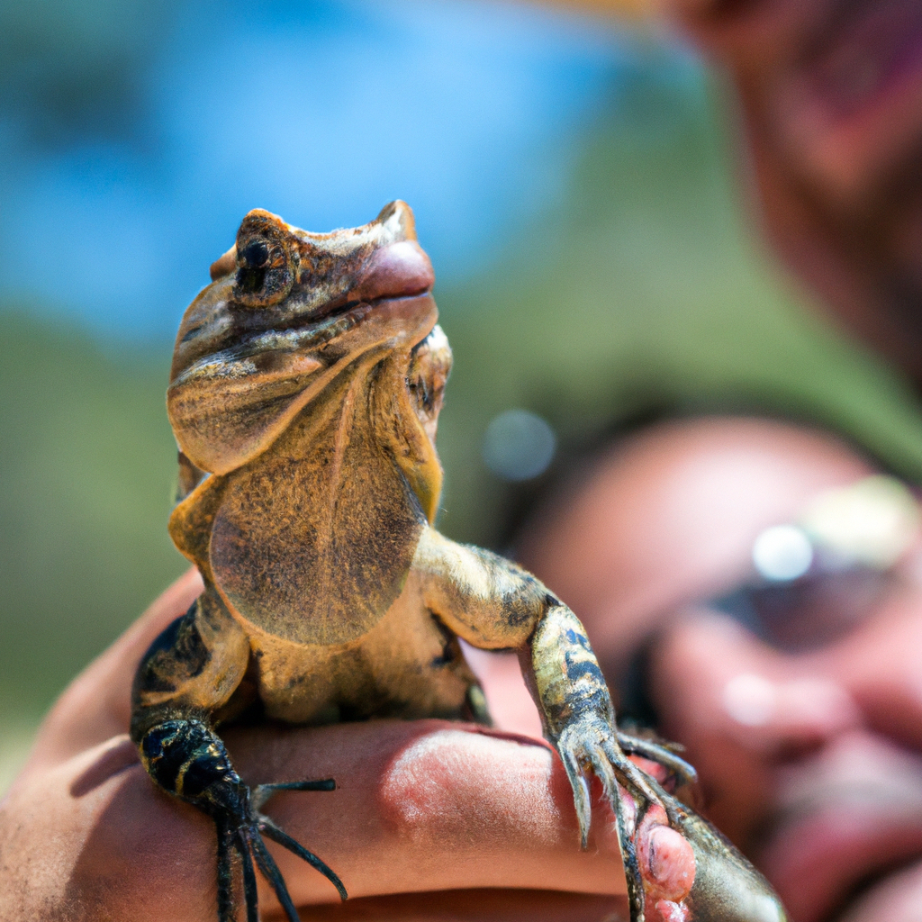 You are currently viewing Central American Lizard Education