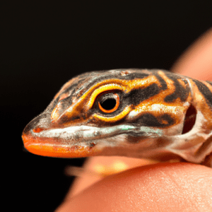 Read more about the article neonatal lizard stress illness