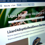 Read more about the article Lizard Adoption Resilience Stories: A Parent’s Guide