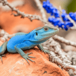 Read more about the article Archipelago Lizard Citizen Science: Family Adventure