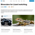 Read more about the article Binoculars for Lizard Watching: The Ultimate Guide