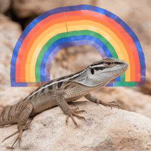 Read more about the article Lizard Thermal Activity Gradients: A Family Guide