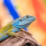 Read more about the article Amazon Lizards Education Programs: A Parent’s Guide