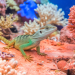 Read more about the article Barrier Reef Lizard Conservation: A Family Guide