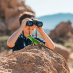 Read more about the article Binoculars for Lizard Watching: A Family Guide