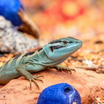 Read more about the article Lizard Watching Sites Asia: Family-Friendly Guide