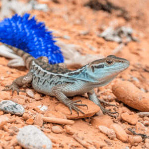 Read more about the article Preventing Compaction in Lizard Habitats: Essential Tips