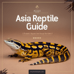 Read more about the article Asia Reptile Guide: Family Wildlife