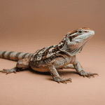 Read more about the article Beginner Lizard Care Travel Tips