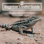 Read more about the article Beginner Lizard Guide Family Travel