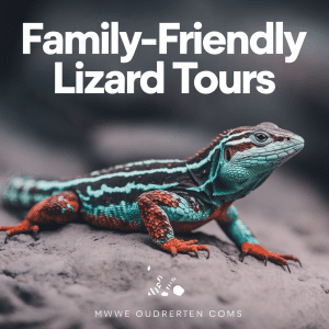 Read more about the article Family-friendly Lizard Tours Made Easy