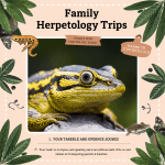 Read more about the article Family Herpetology Trips: Easy Starter Guide