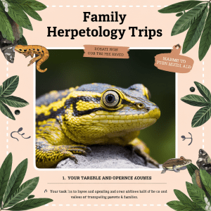 Read more about the article Family Herpetology Trips: Easy Starter Guide
