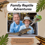 Read more about the article Family Reptile Adventures Made Easy