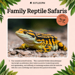 Read more about the article Family Reptile Safaris Made Easy