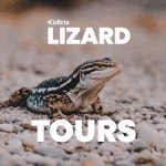 Read more about the article Kids Lizard Tours: Exciting Guide for Families