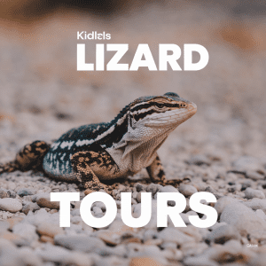Read more about the article Kids Lizard Tours: Exciting Guide for Families