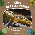 Read more about the article Kids Reptile Parks Beginner Guide