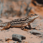 Read more about the article Lizard Enrichment Trips: Family Fun