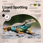 Read more about the article Lizard Spotting Asia: Family Guide