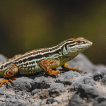 Read more about the article Lizard Spotting Tours Family Guide