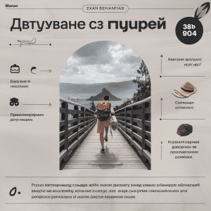 Read more about the article Пътуване с гущер — лесни съвети за родители