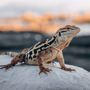 Read more about the article Travel Lizard Tips: Family Fun