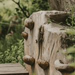 Read more about the article lizard safety tips Keep Kids Safe
