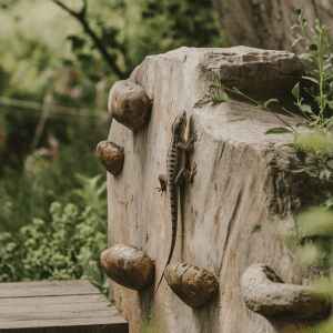 Read more about the article lizard safety tips Keep Kids Safe